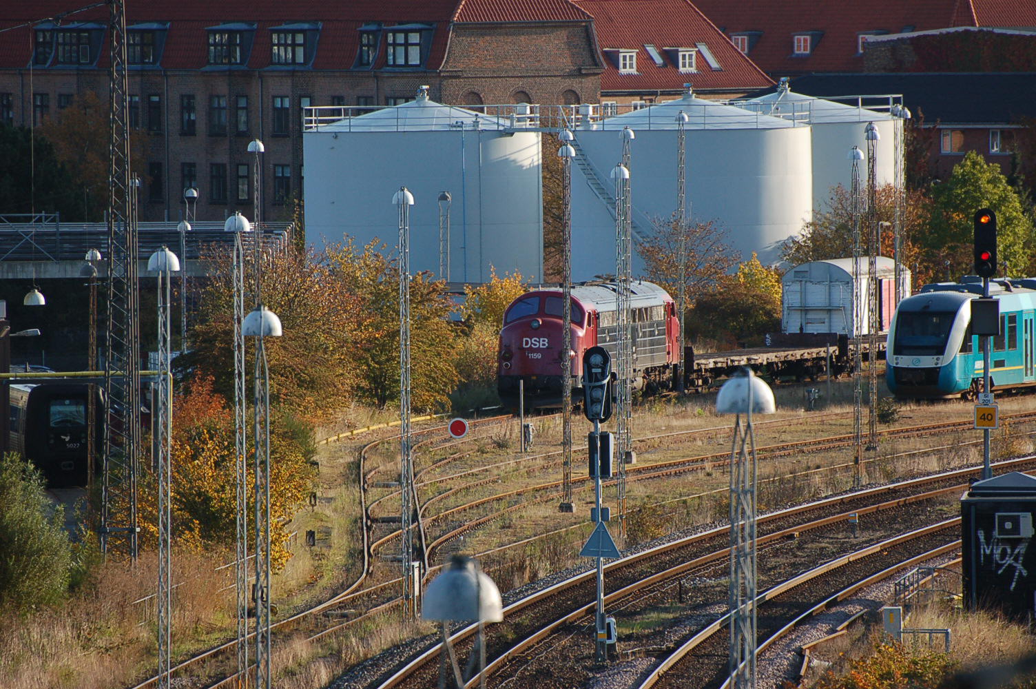 DSC_0003