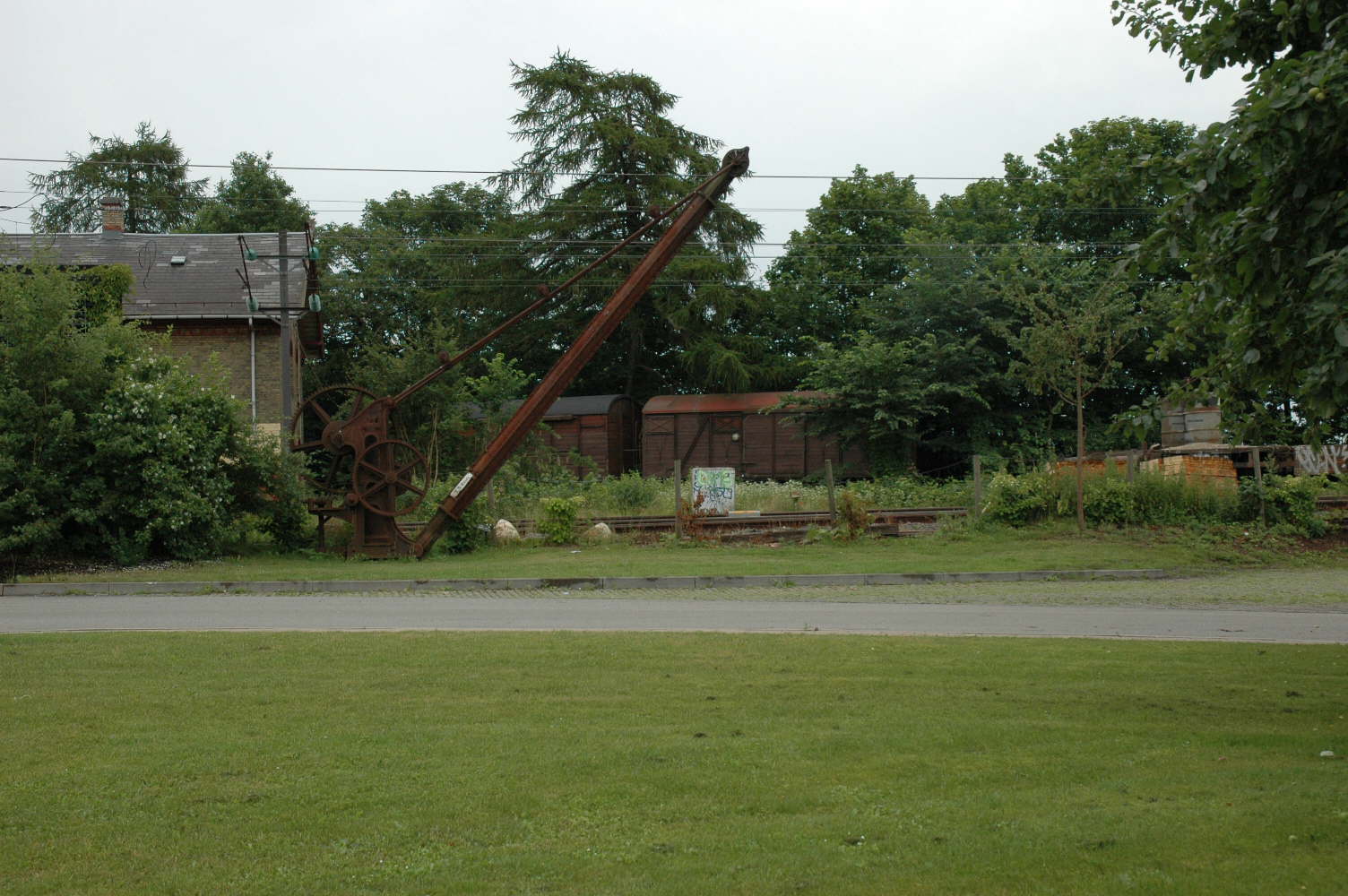 DSC_0010