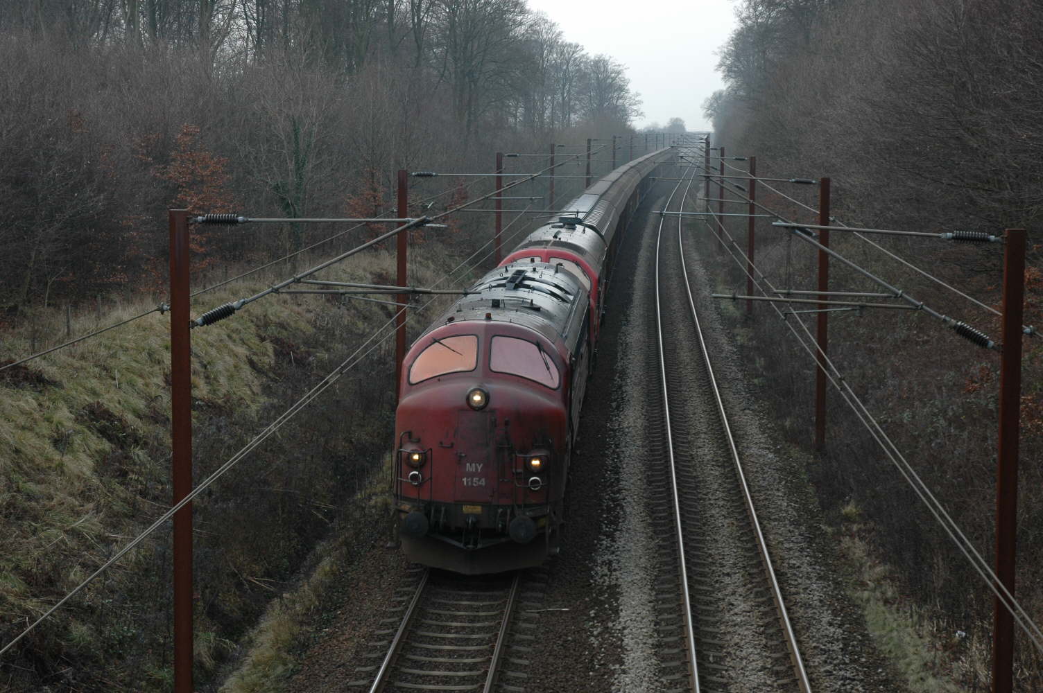 CFL cago MY 1154+MX i Hannerup skov den 11-01-2009