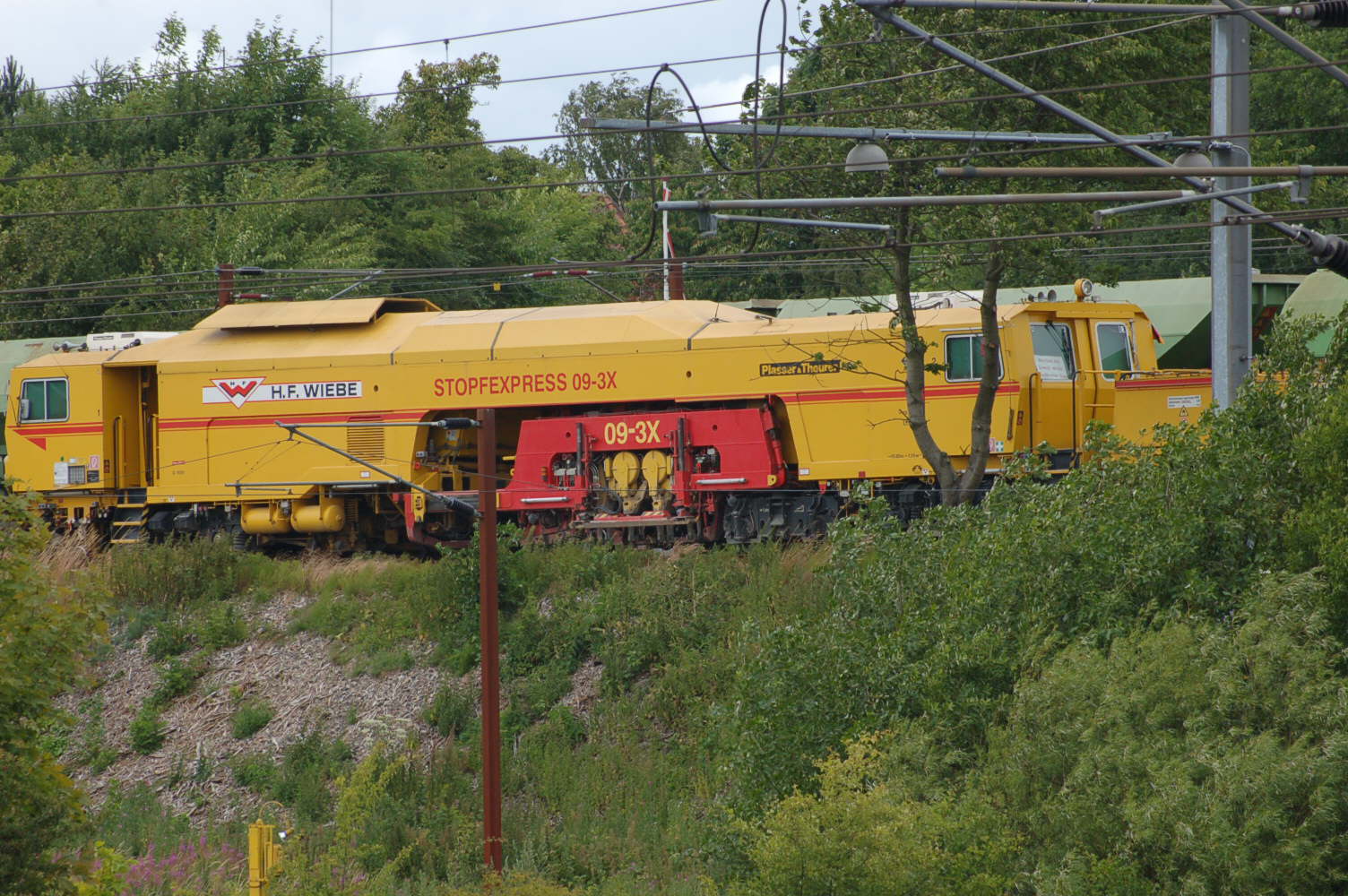 DSC_0003