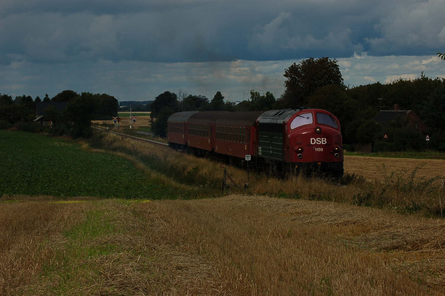 DSC_0003
