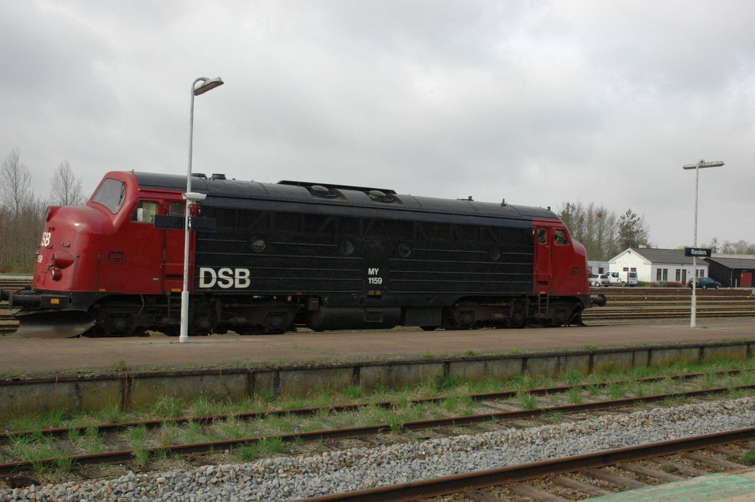 DSC_0003