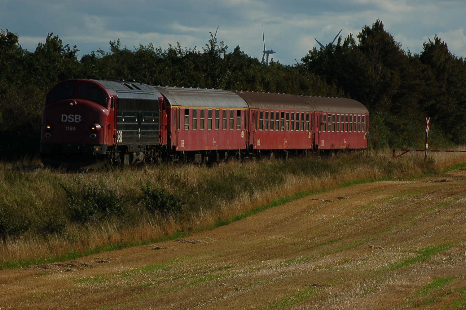 DSC_0006