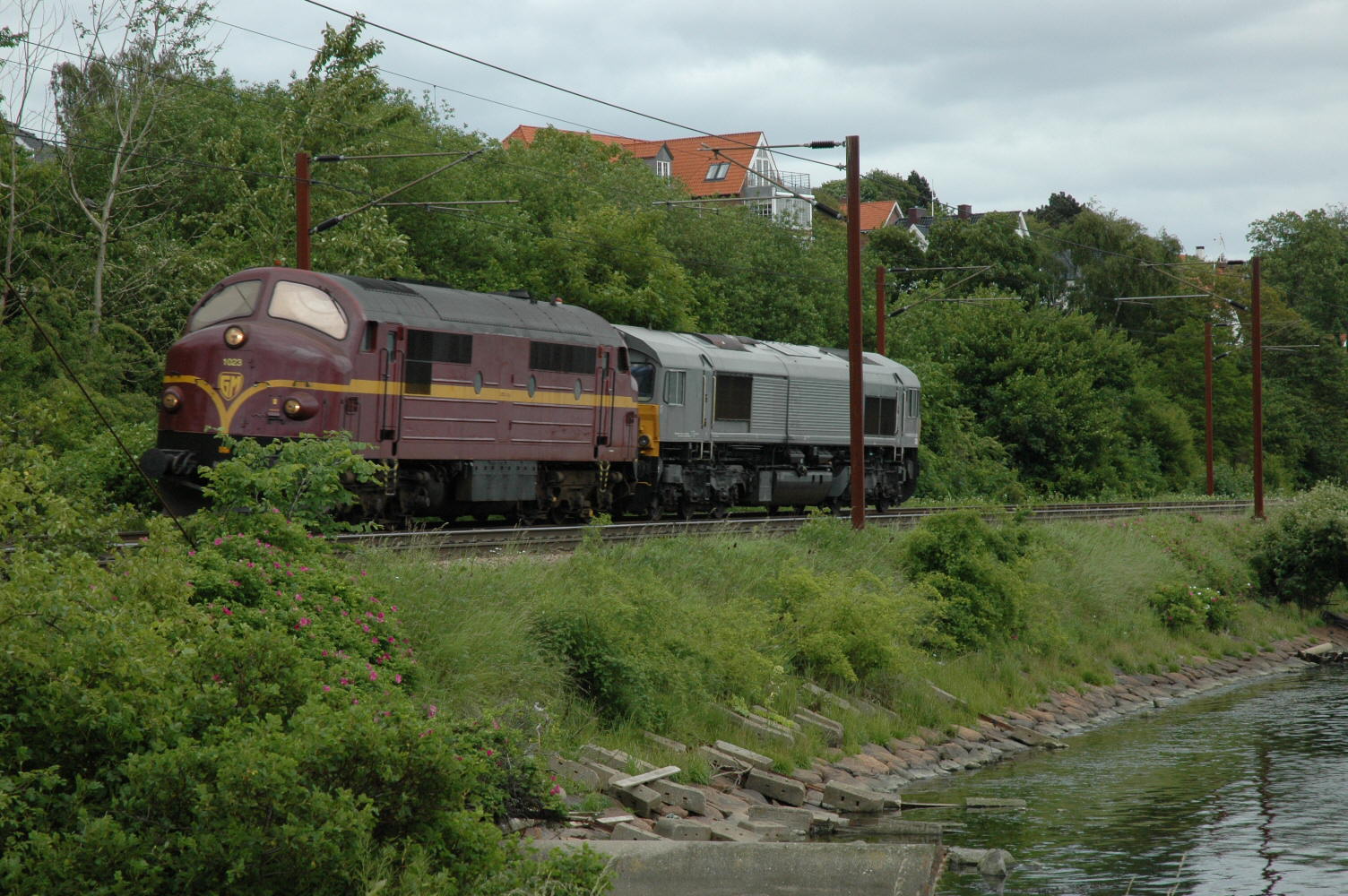 DSC_0018
