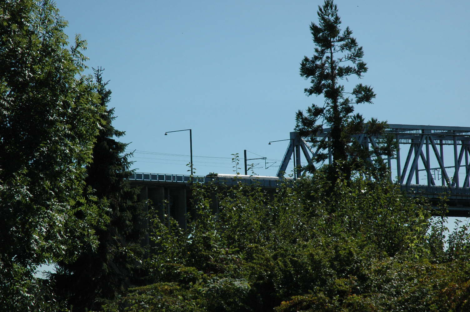 DSC_0042