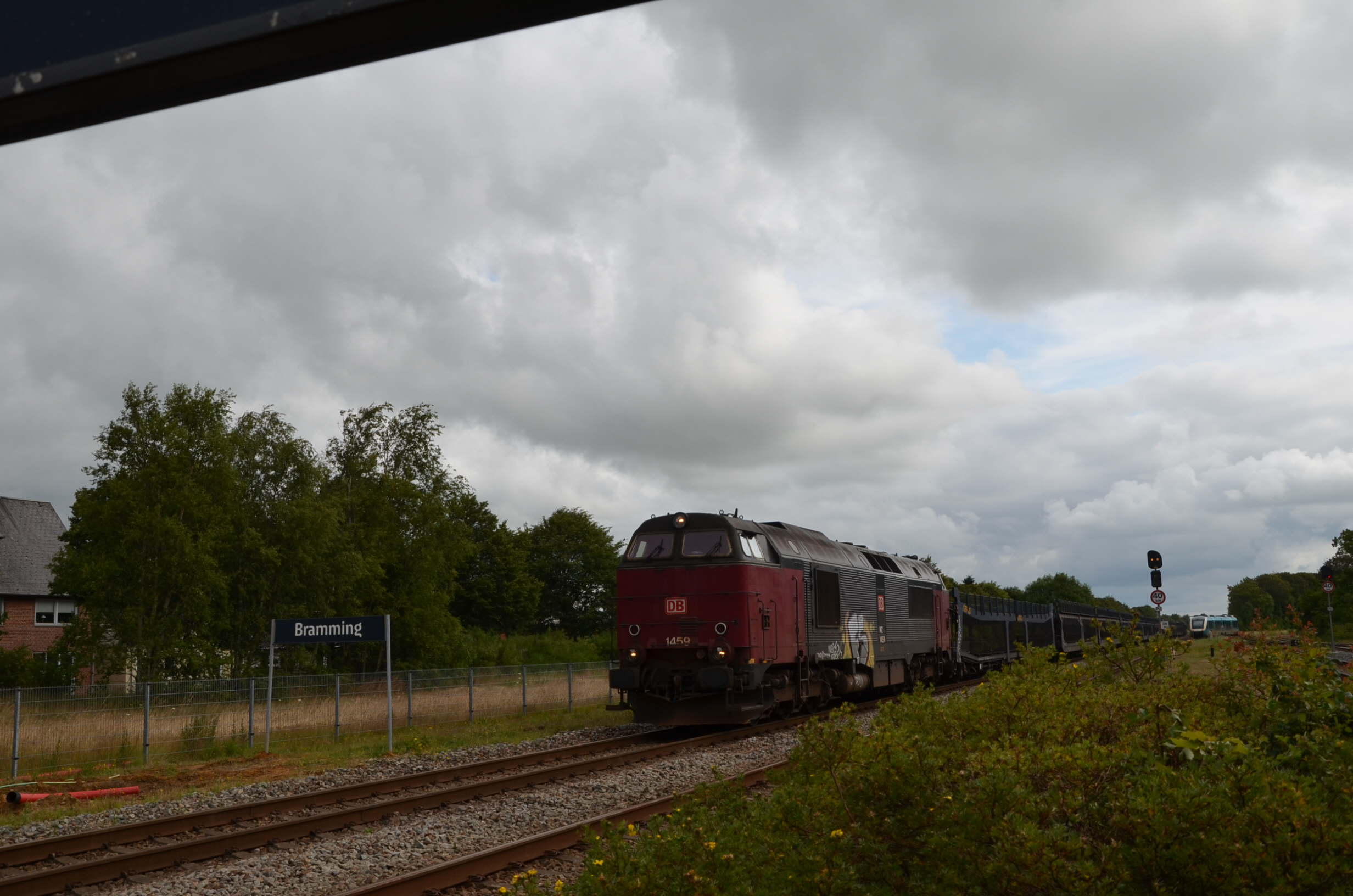 DSC_0675