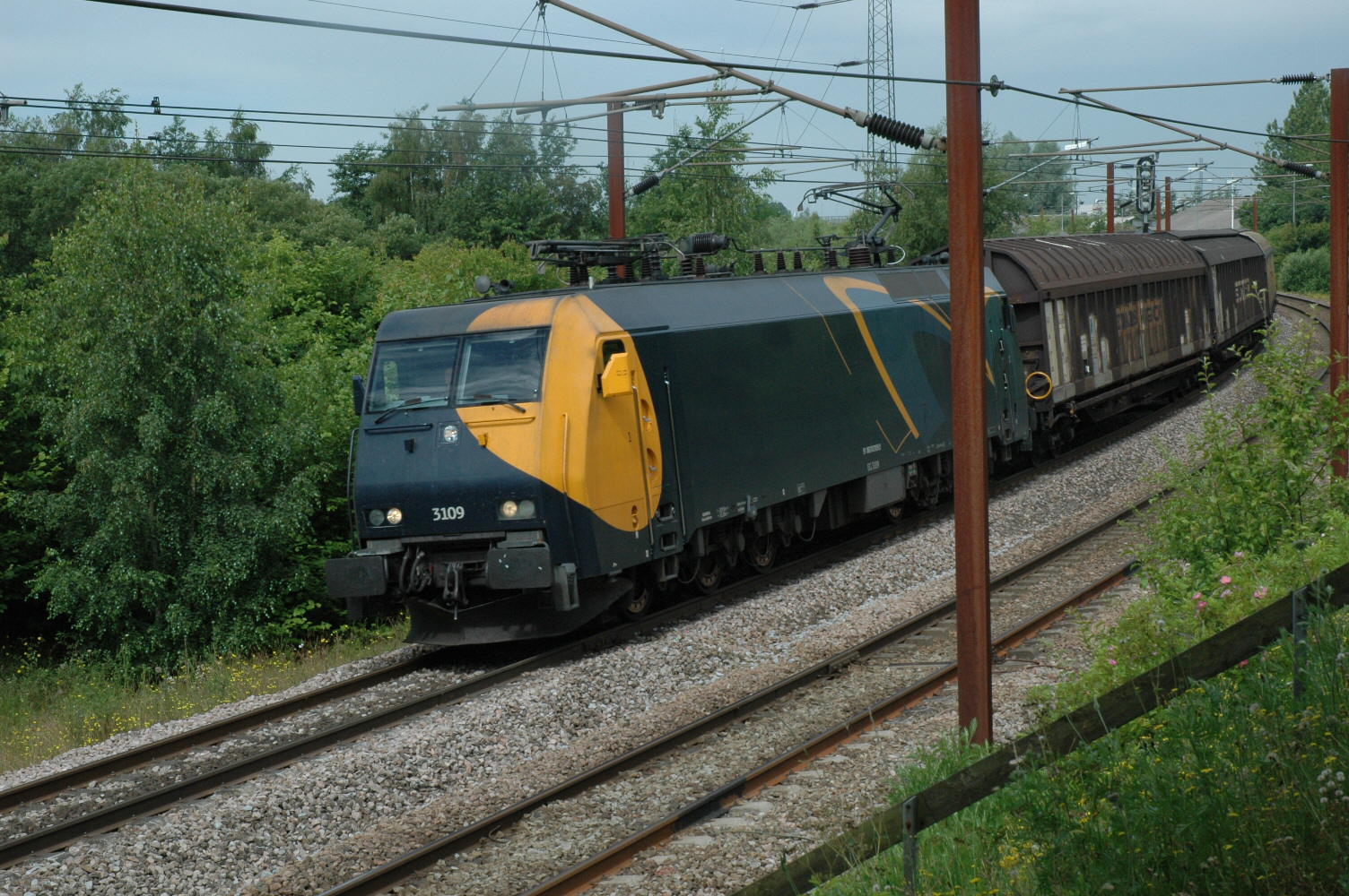 EG 3109 Snogh�j den 09-07-2010