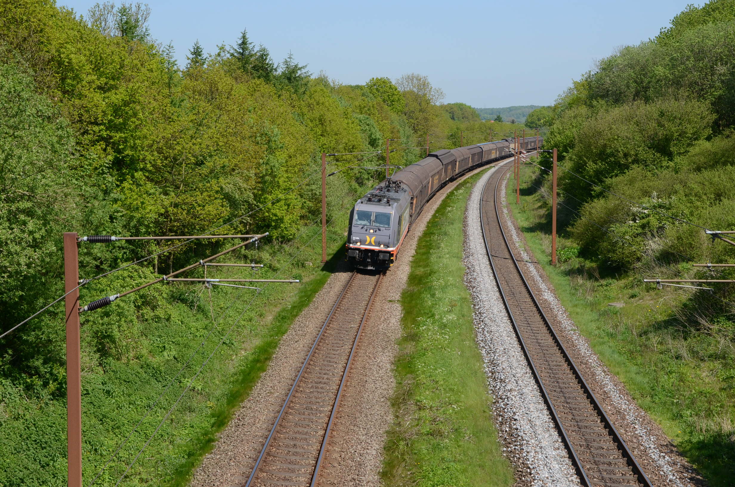 Hector Rail 241