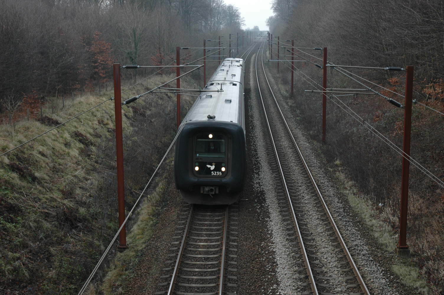 MF s�t35 i Hannerup skov den 11-01-2009