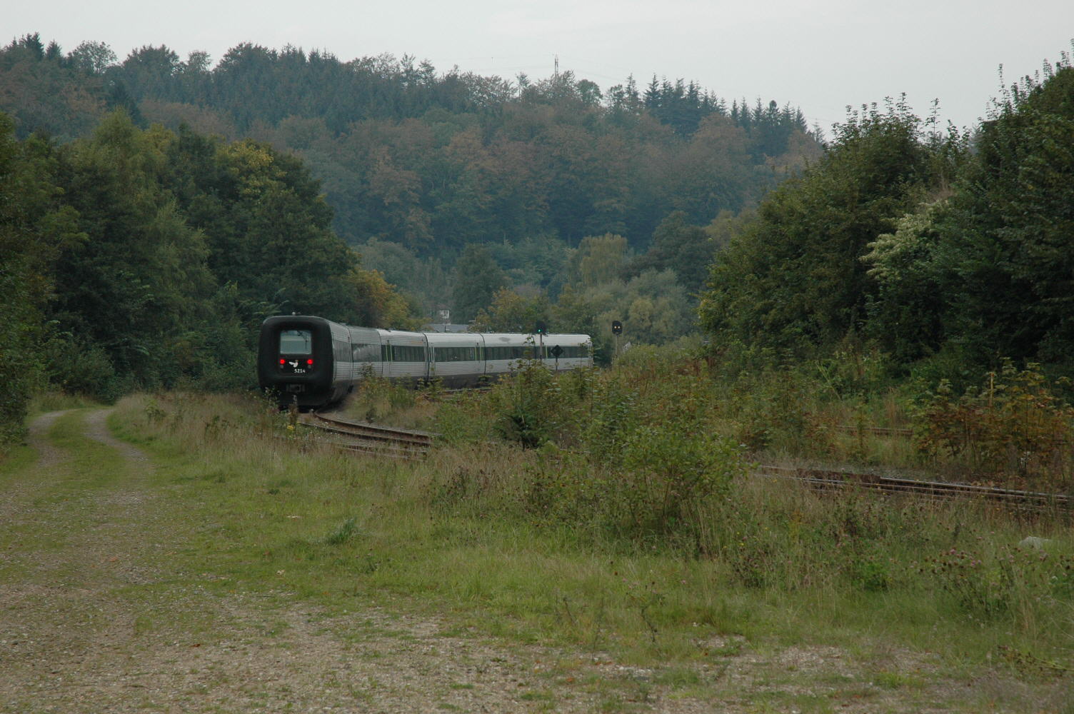 MF s�t 40+14 i Gjesdalen st