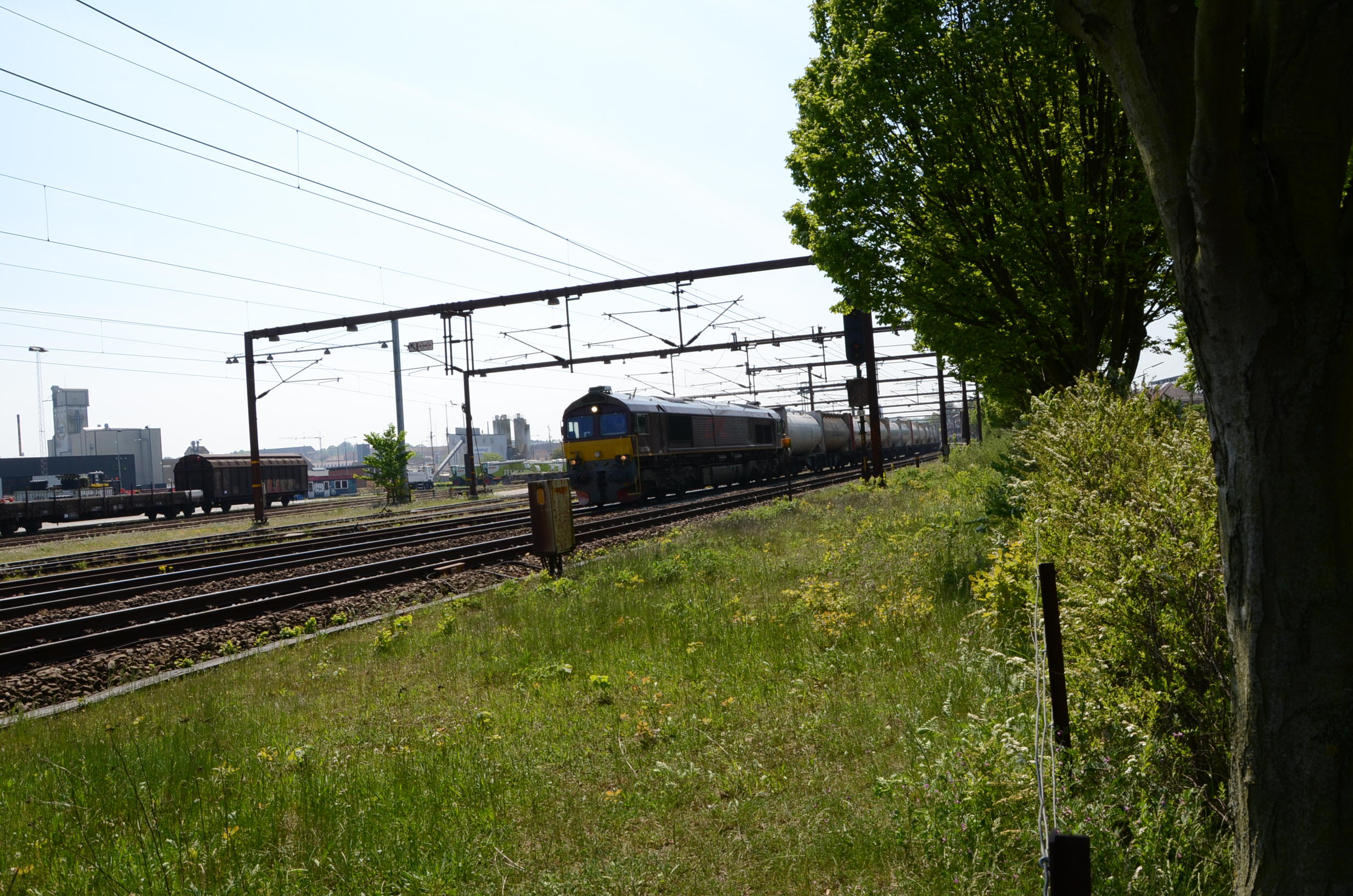 T66K714 Kolding den 21-05-2012